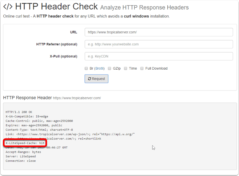 HTTP Header Check