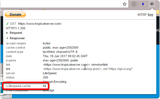 HTTP Spy para Google Chrome