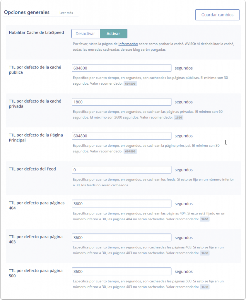Opcion general del plugin Litespeed Cache