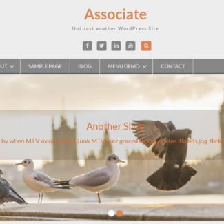 Associate Associate